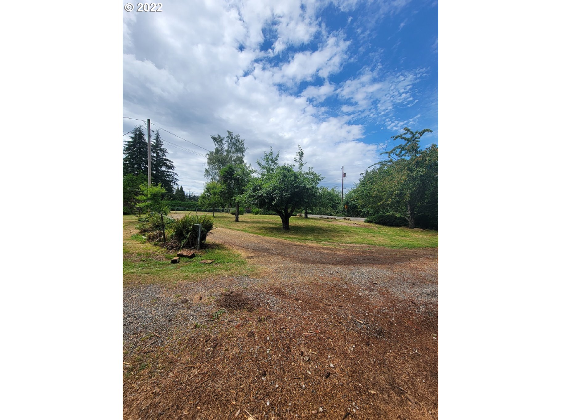 26817 Northeast Hathaway Road Camas, WA 98607 - Photo 10 of 25 a backyard of a house with lots of green space
