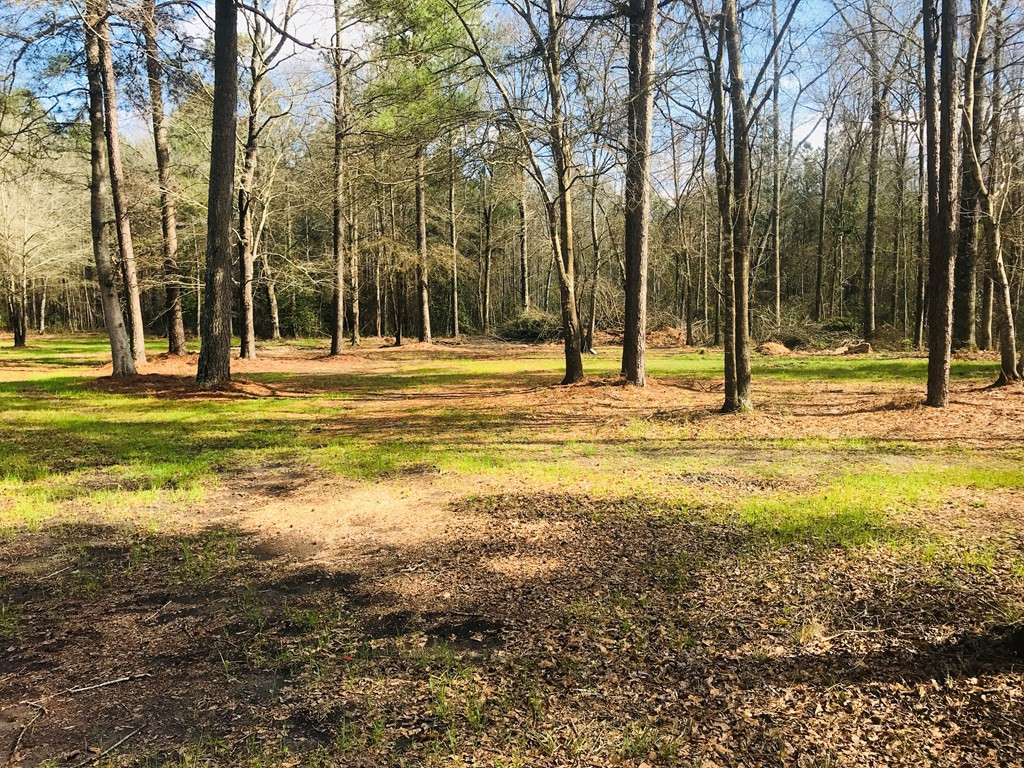 157 Bridge Creek Road Ridge Spring, SC 29129 - Photo 14 of 18
