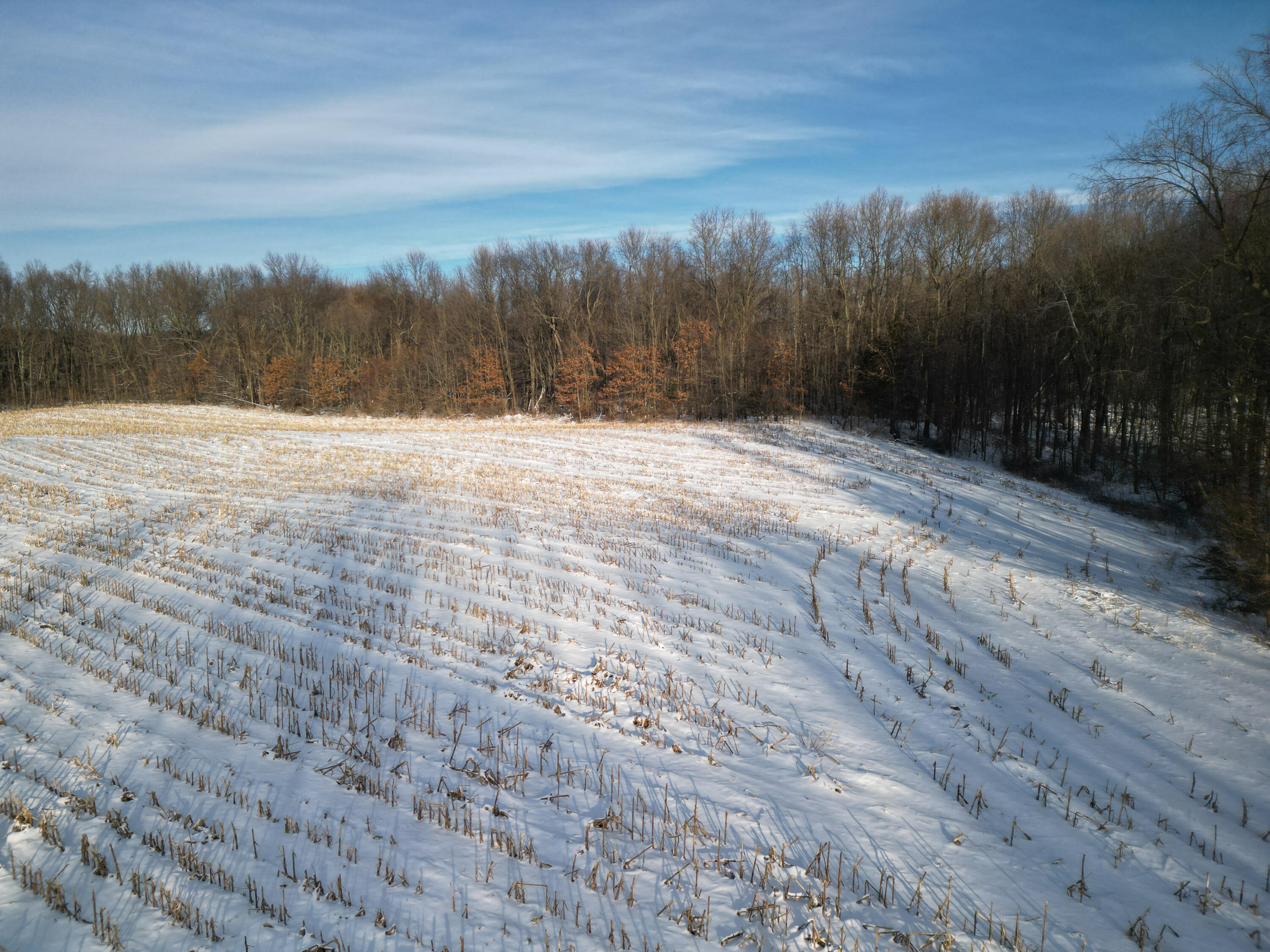 9317 Rountree Road Horton, MI 49246 - Photo 14 of 21 9100 Moscow Road 14
