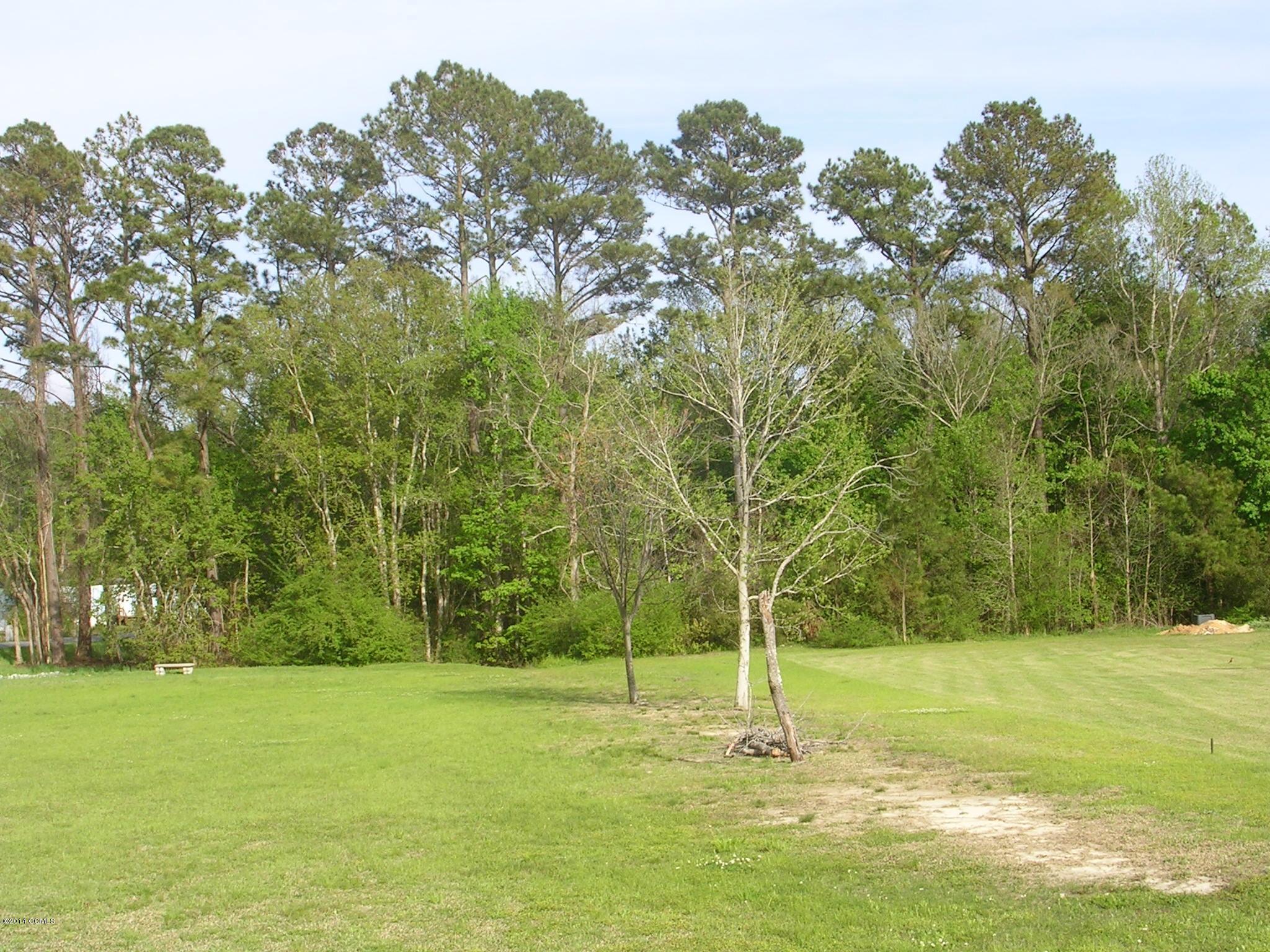465 Nine Foot Road Newport, NC 28570 - Photo 33 of 33 back of lot (1)