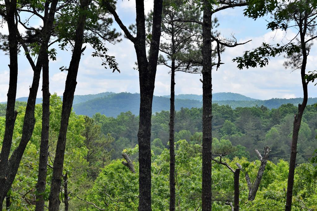 84 Ridge Brook Drive Morganton, GA 30560 - Photo 5 of 39 Gallery Image 5