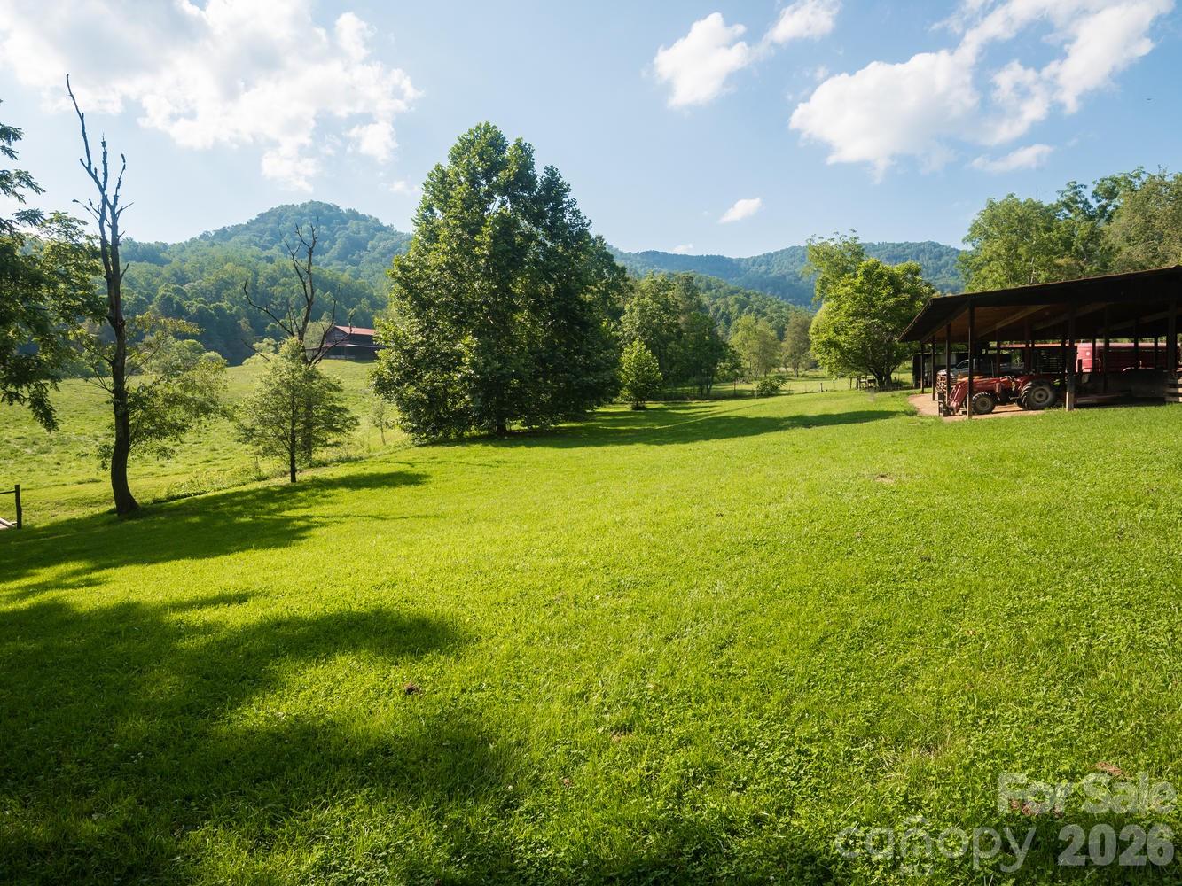 741 Morrow Branch Road Leicester, NC 28748 - Photo 2 of 47