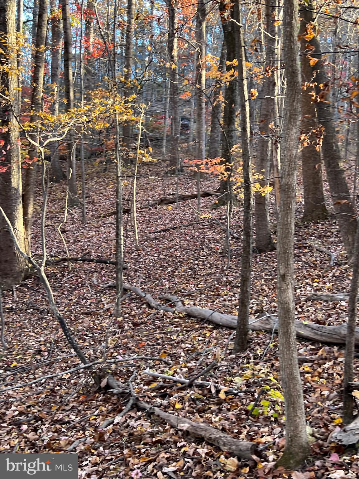 0 Timberline Ridge Road Front Royal, VA 22630 - Photo 11 of 19 a view of a pathway