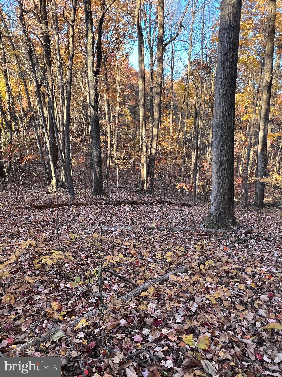 0 Timberline Ridge Road Front Royal, VA 22630 - Photo 14 of 19 a view of outdoor space with lots of green space