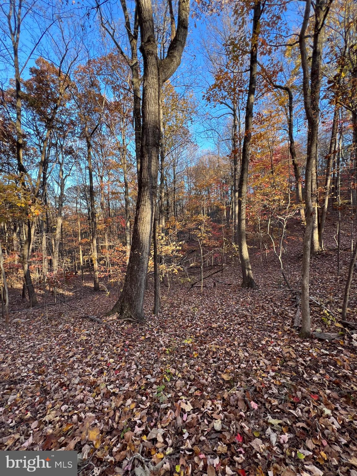 0 Timberline Ridge Road Front Royal, VA 22630 - Photo 9 of 19 a view of backyard with green space