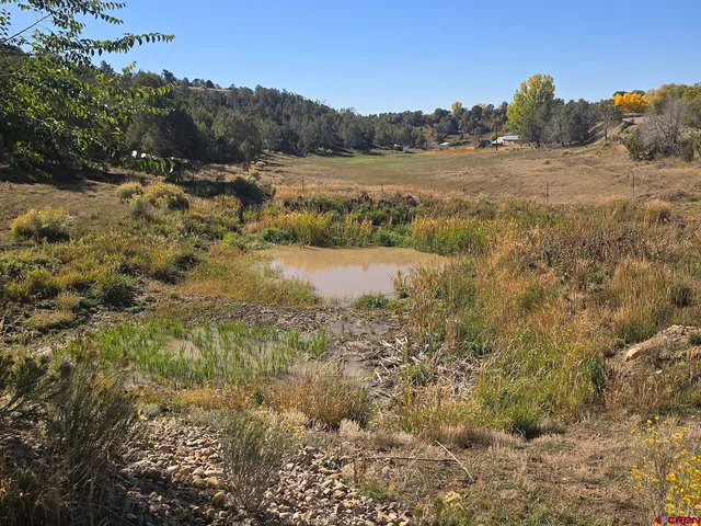 a view of a street with a yard