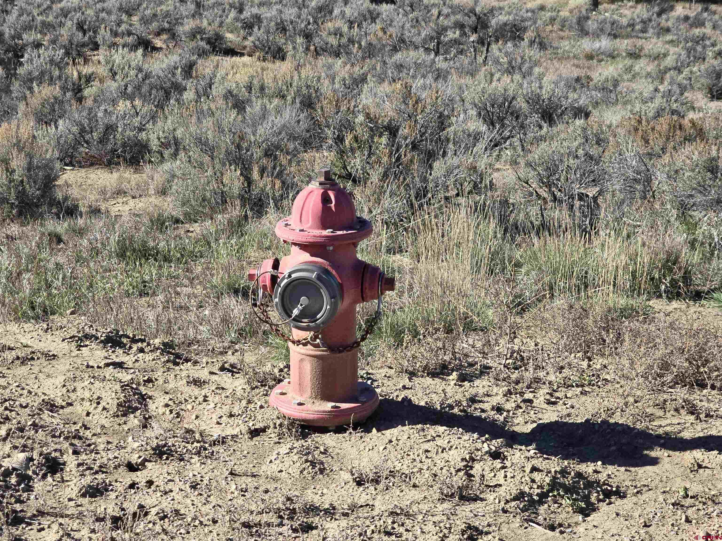 1308 Wrangler Way Durango, CO 81303 - Photo 17 of 18 a fire hydrant sitting in the middle of a forest