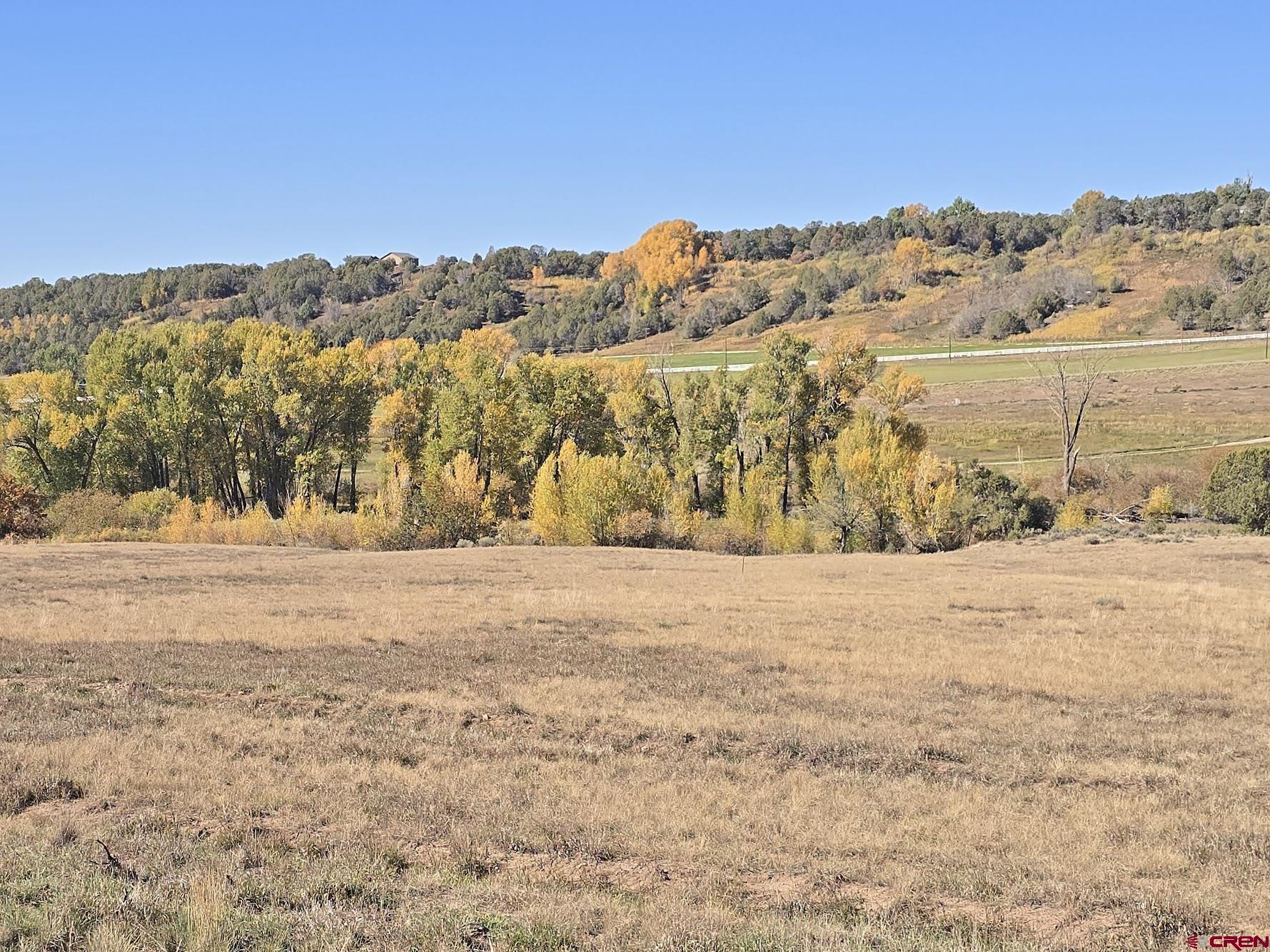 1308 Wrangler Way Durango, CO 81303 - Photo 4 of 18