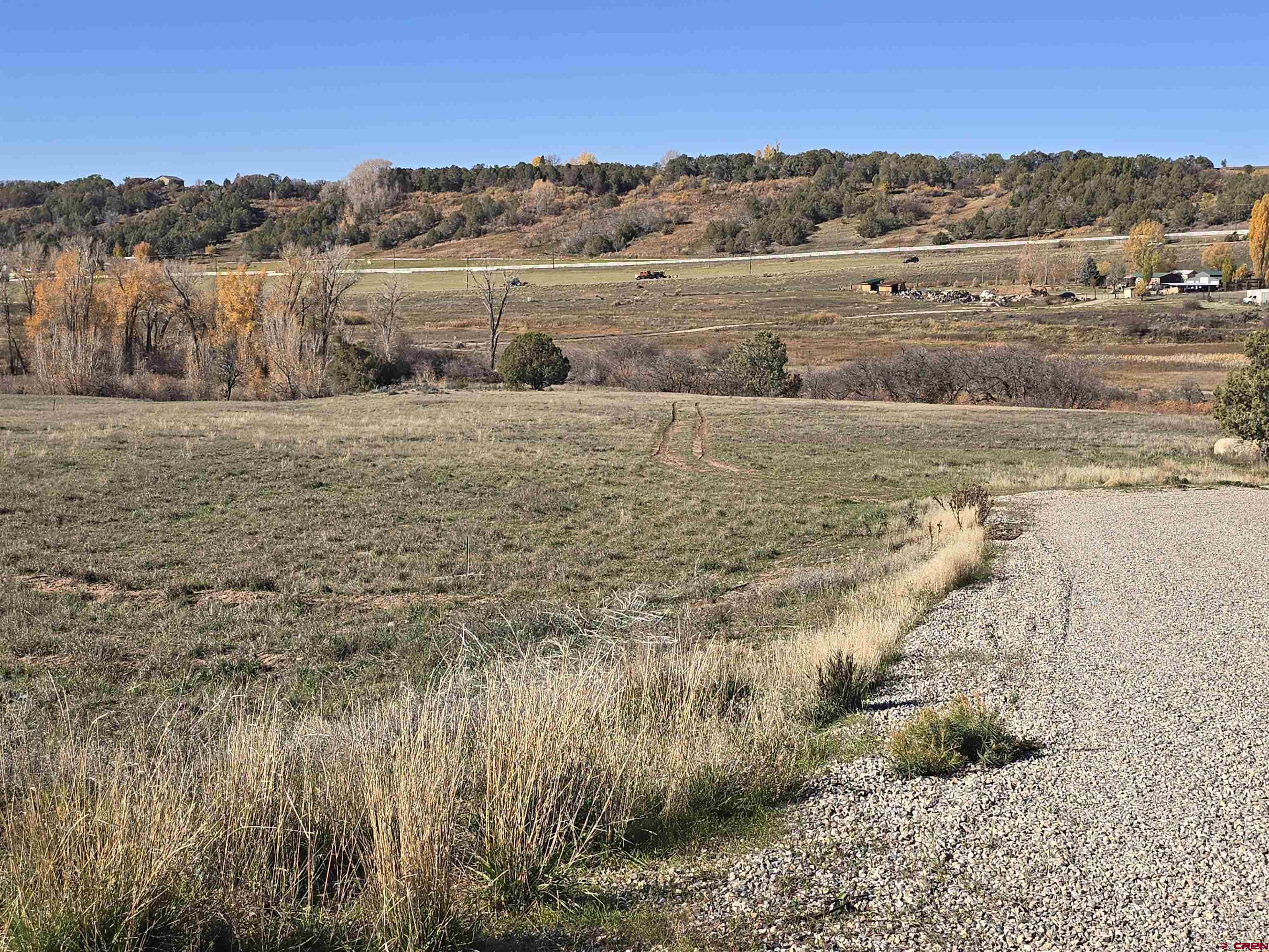 1308 Wrangler Way Durango, CO 81303 - Photo 8 of 18