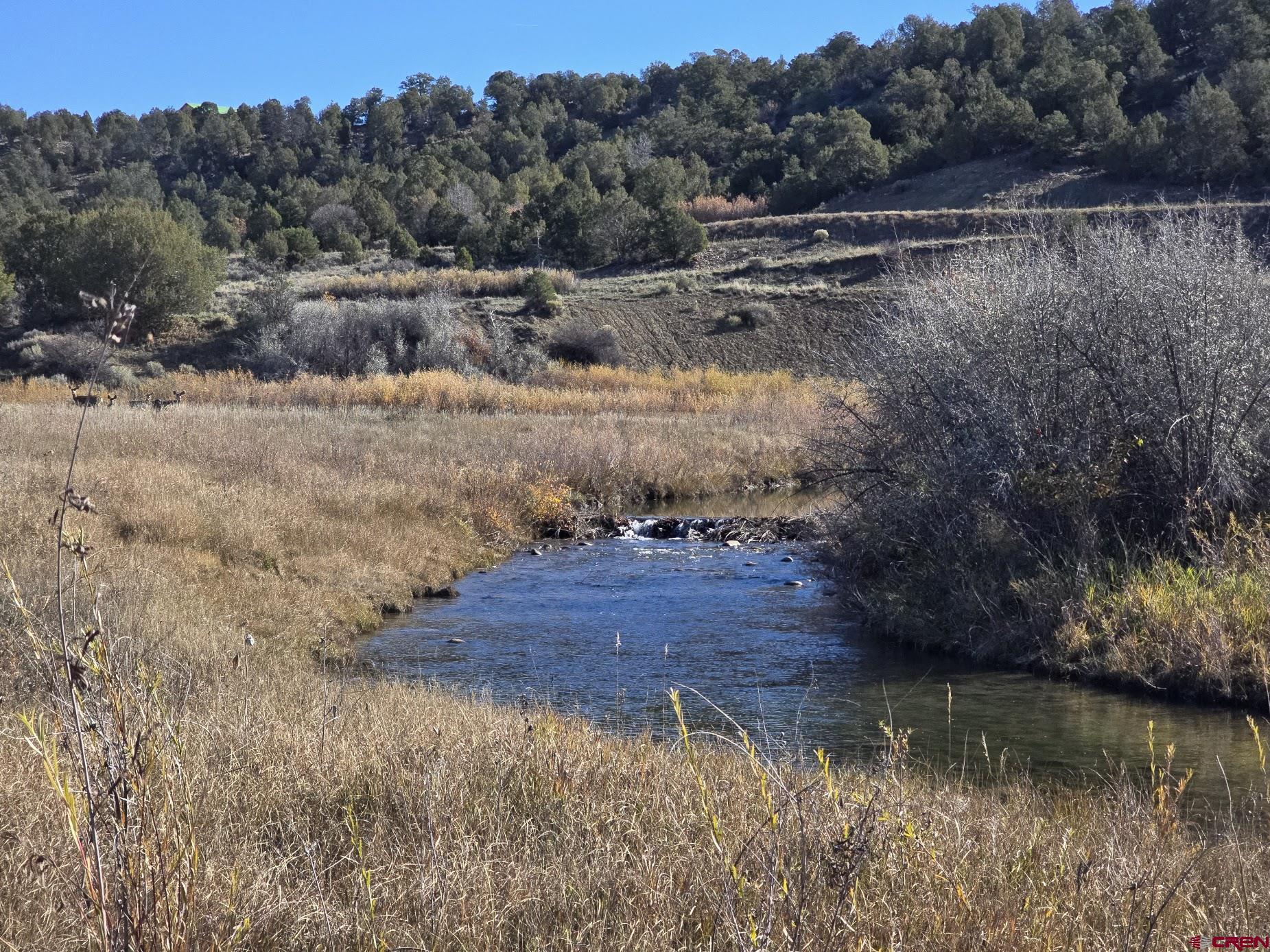 1308 Wrangler Way Durango, CO 81303 - Photo 10 of 18