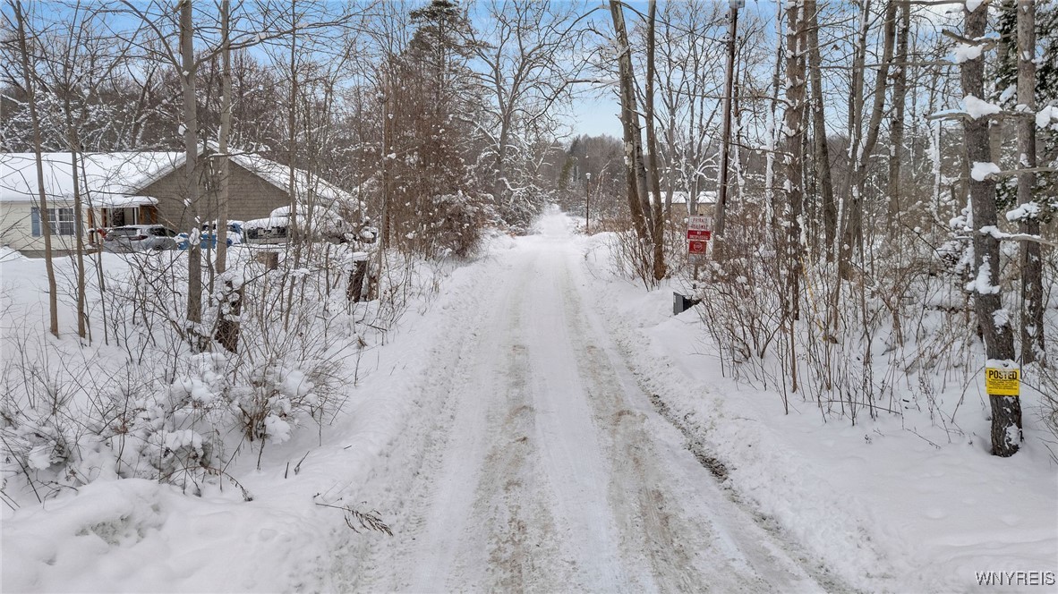 10448 Creek Road Sardinia, NY 14141 - Photo 3 of 7