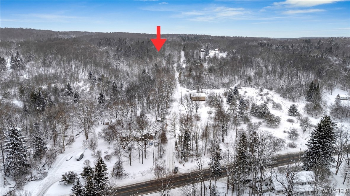 10448 Creek Road Sardinia, NY 14141 - Photo 5 of 7