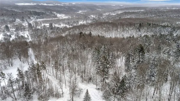 $124,900 | 10448 Creek Road, Sardinia, NY 14141