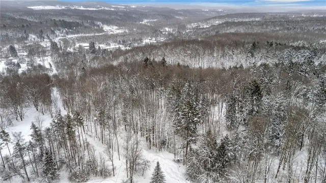 $124,900 | 10448 Creek Road, Sardinia, NY 14141