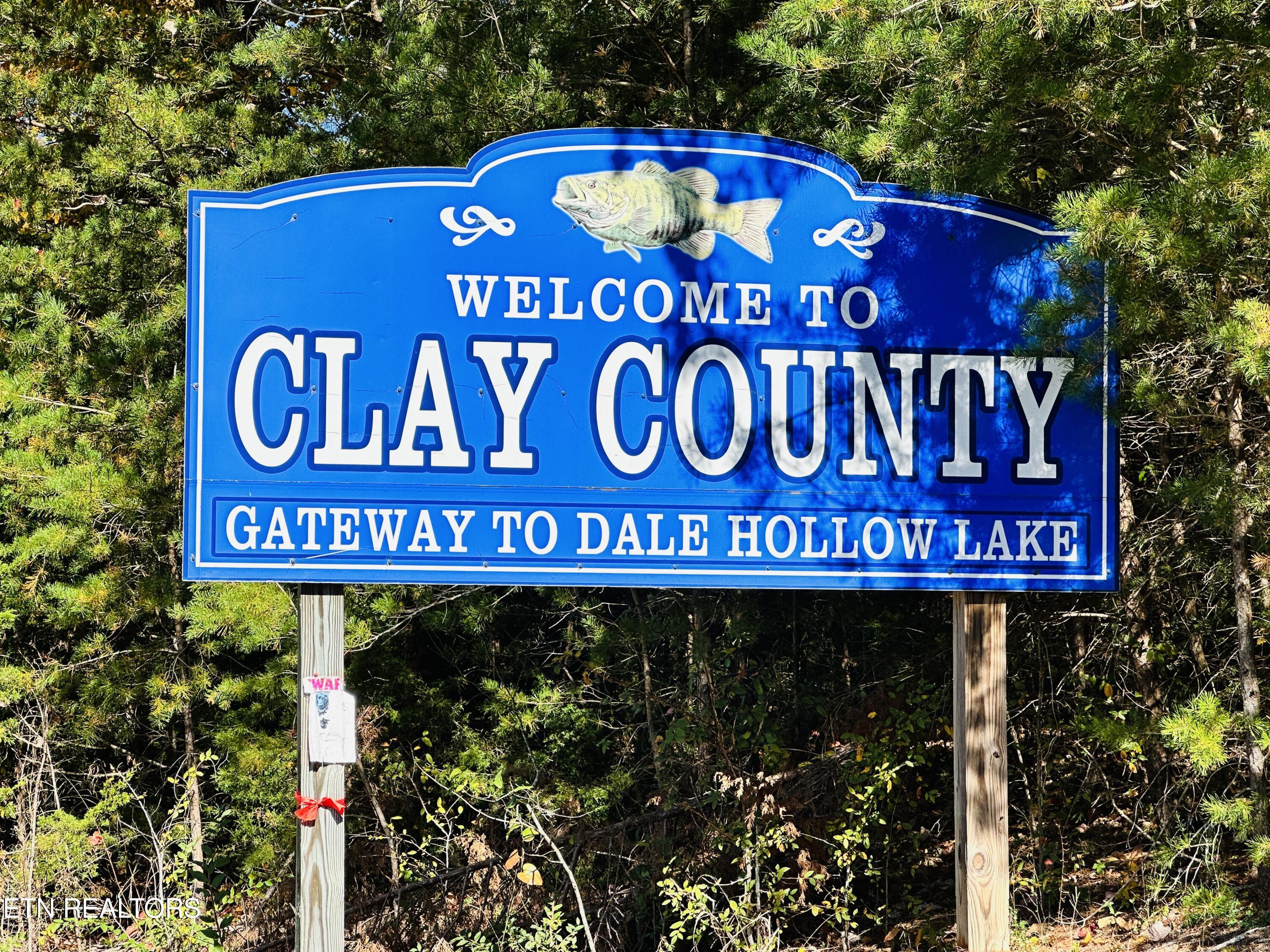 1489 Cleo Johnson Road Allons, TN 38541 - Photo 41 of 41 IMG_9552