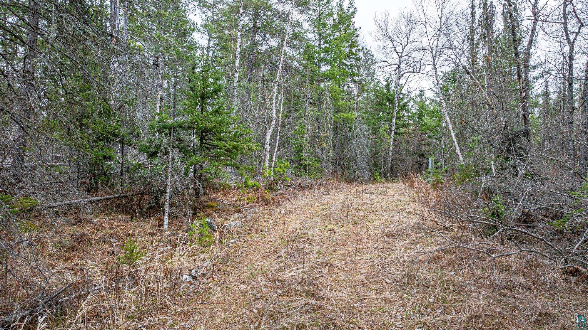 Tbd Lindbeck Road Ely, MN 55731 - Photo 8 of 44