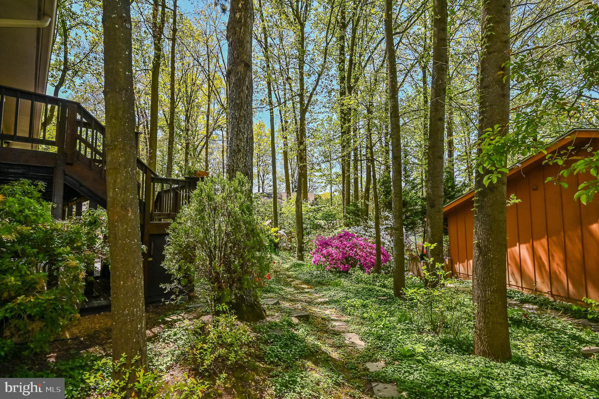 2000 Halyard Lane Reston, VA 20191 - Photo 45 of 56 Gallery Image 45