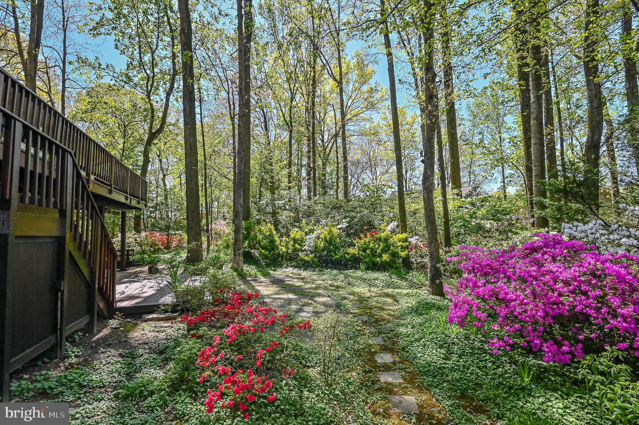 2000 Halyard Lane Reston, VA 20191 - Photo 46 of 56 Gallery Image 46