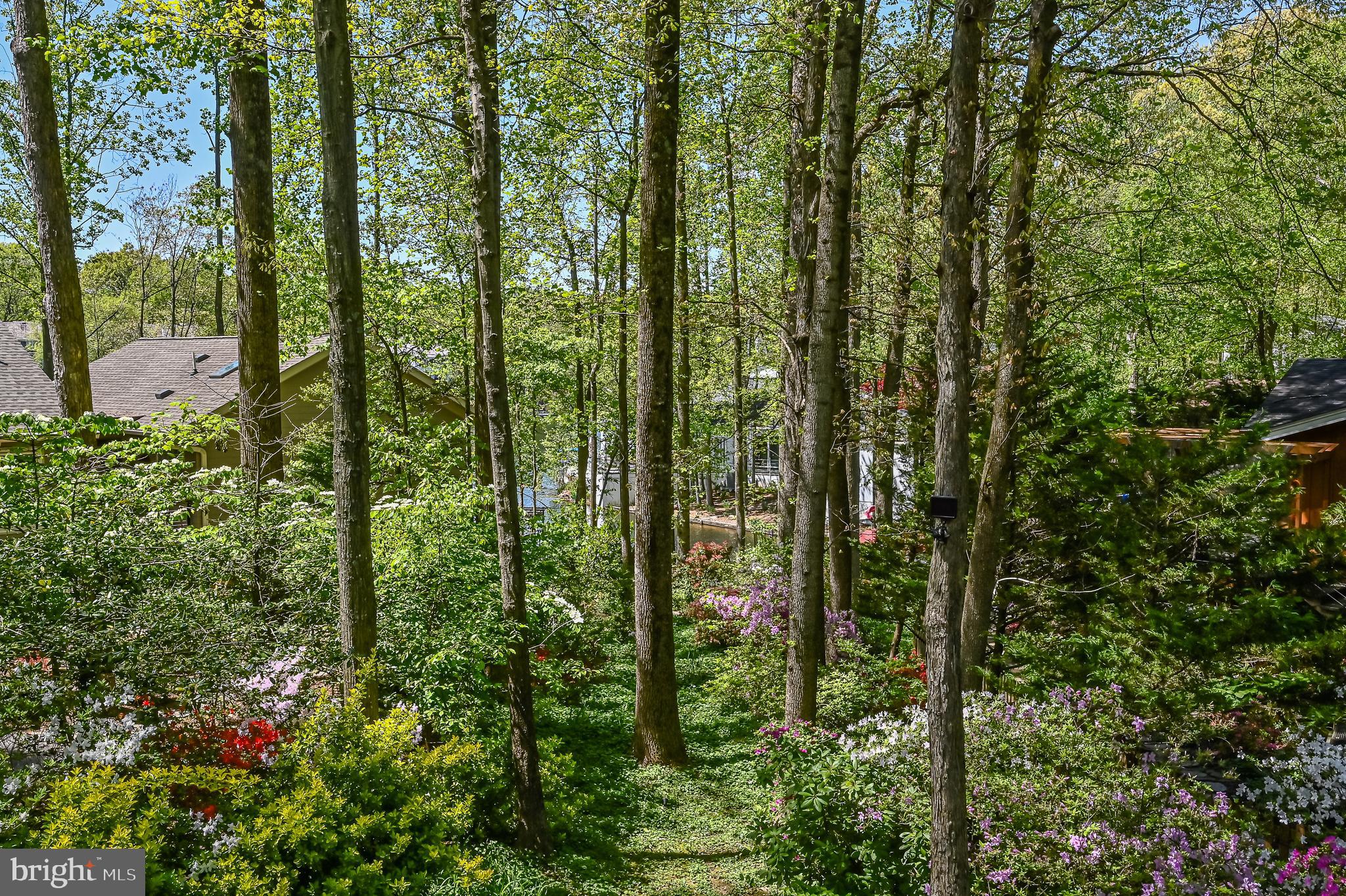 2000 Halyard Lane Reston, VA 20191 - Photo 55 of 56 Water View - home does not have lake access