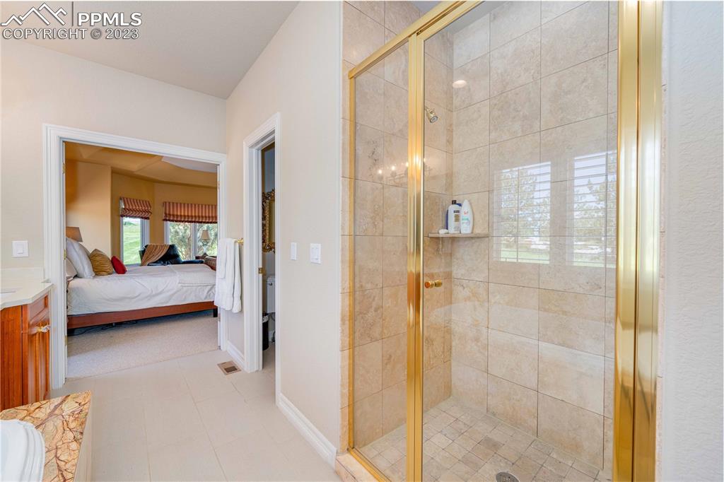 8760 Ridgepointe Drive Castle Pines, CO 80108 - Photo 33 of 50 a en suite bathroom with a shower and a sink