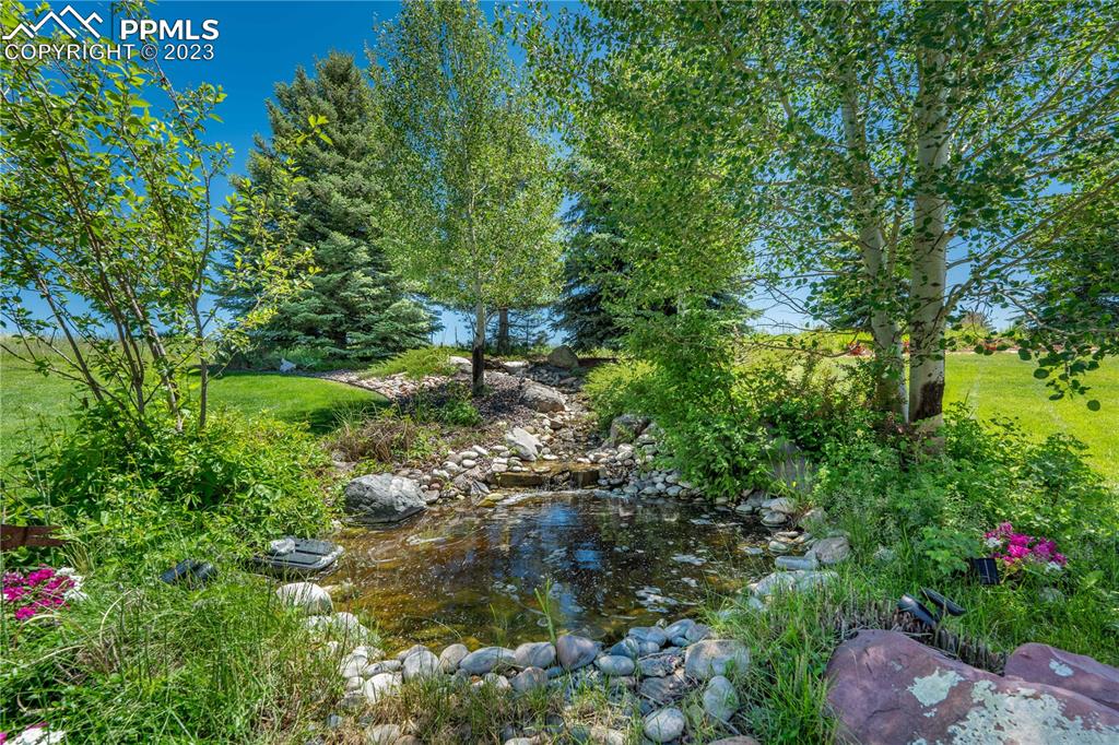 8760 Ridgepointe Drive Castle Pines, CO 80108 - Photo 9 of 50 a view of a garden with plants and large trees