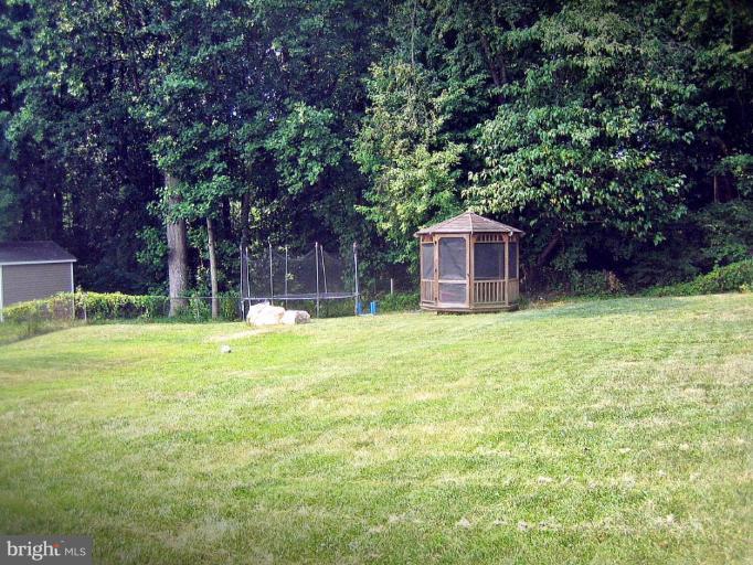 13212 Delaney Road Woodbridge, VA 22193 - Photo 30 of 30 Wooded View / Acreage