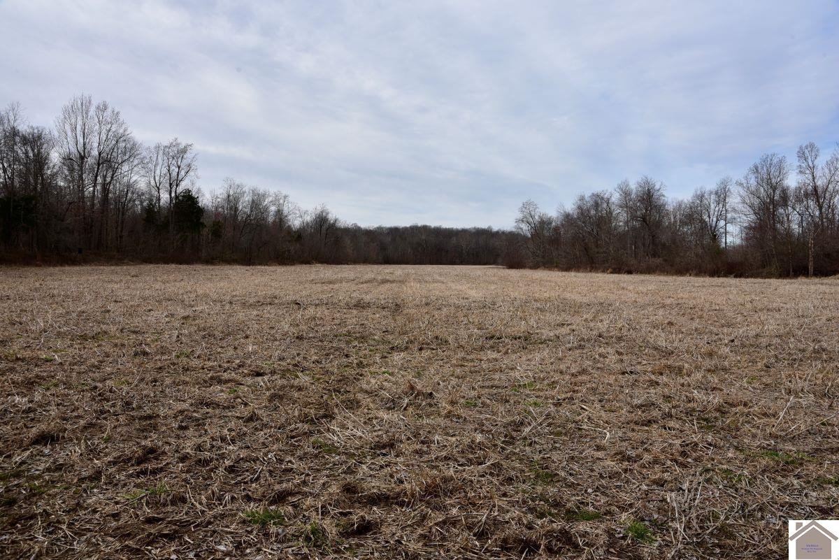 0 Waid Road Benton, KY 42025 - Photo 23 of 35 Photo 23