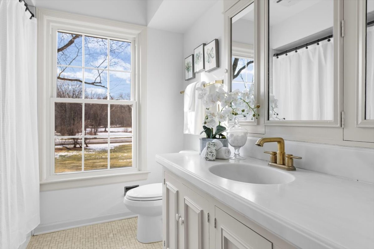 143 Firth Road Inverness, IL 60067 - Photo 25 of 38 a bathroom with a sink a toilet and a window