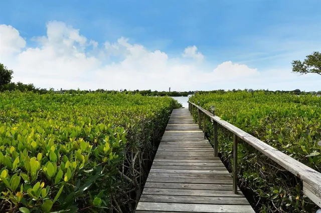 a view of an ocean with boats and trees in the background