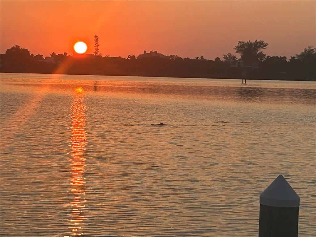 780 Sarabay Road, Unit 16 Osprey, FL 34229 - Photo 46 of 55