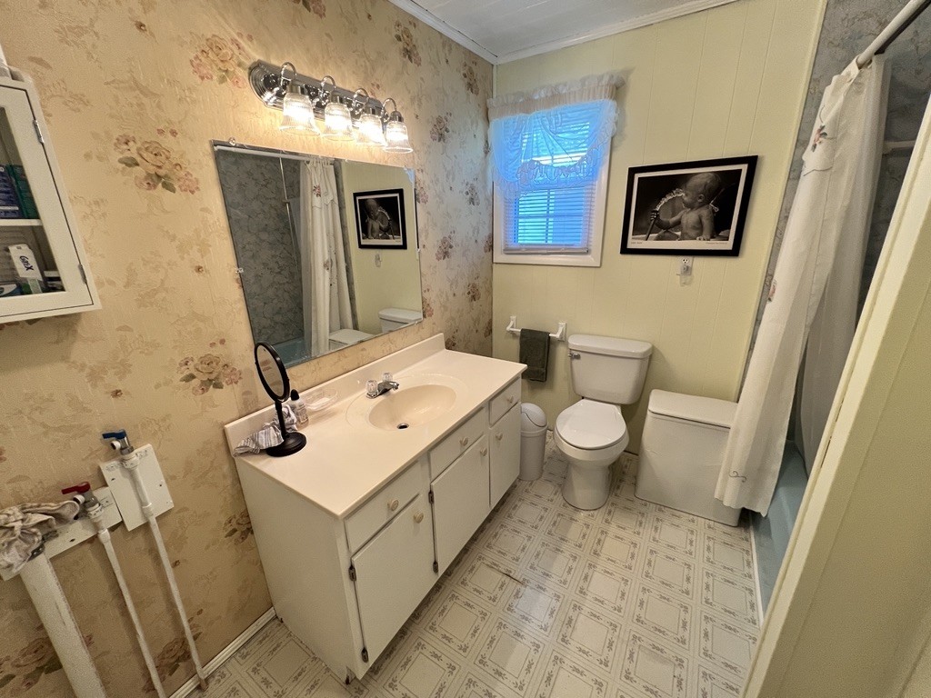890 Hobbs Hill Road Tracy City, TN 37387 - Photo 11 of 31 a bathroom with a sink a toilet and mirror