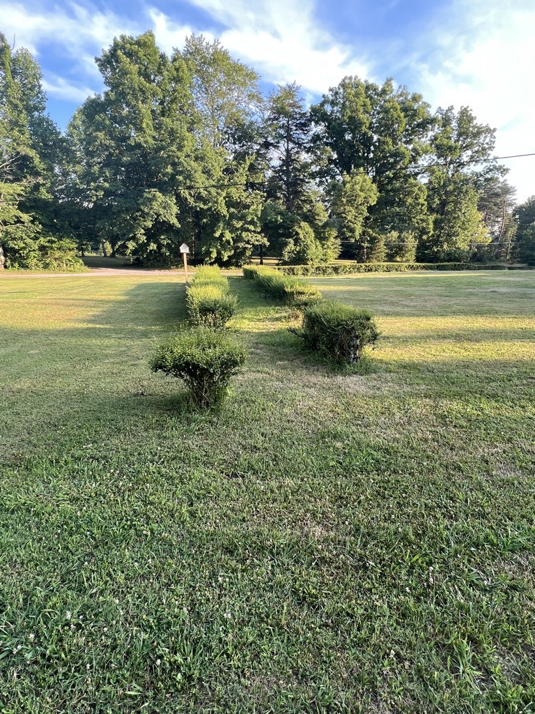 890 Hobbs Hill Road Tracy City, TN 37387 - Photo 28 of 31 a view of a lake with a yard