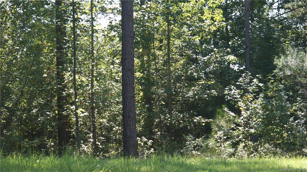 38.52-acres Parson Road McConnells, SC 29726 - Photo 3 of 6