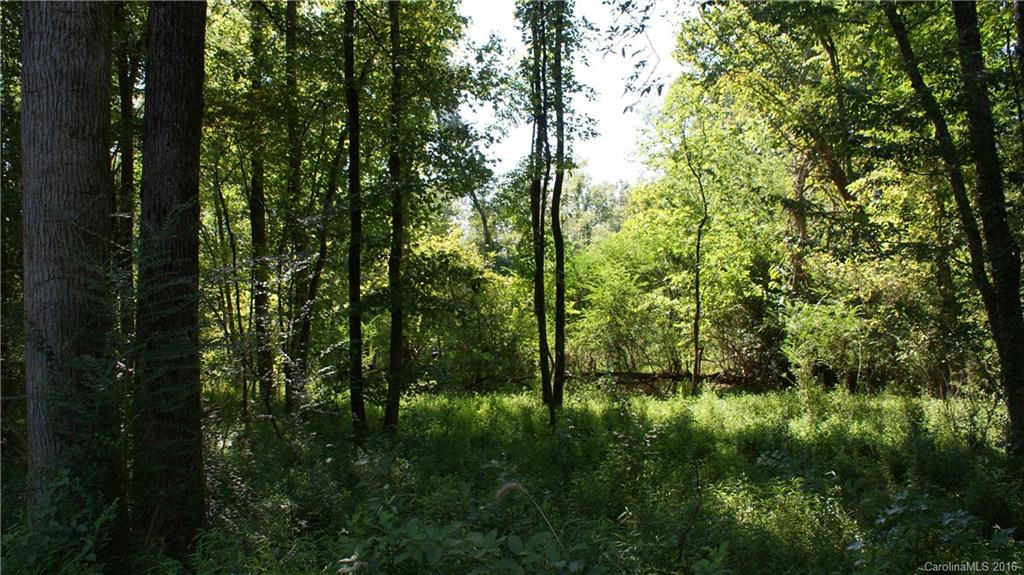 38.52-acres Parson Road McConnells, SC 29726 - Photo 4 of 6