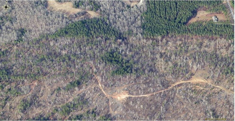 38.52-acres Parson Road McConnells, SC 29726 - Photo 6 of 6
