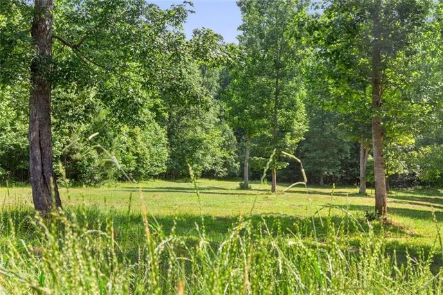 a view of a swimming pool with a yard and trees