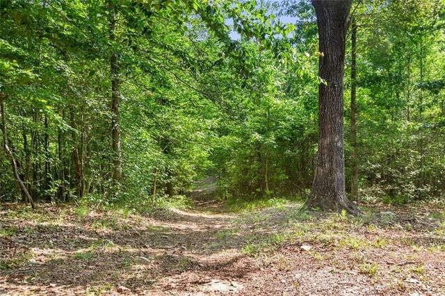 a view of a yard with a tree