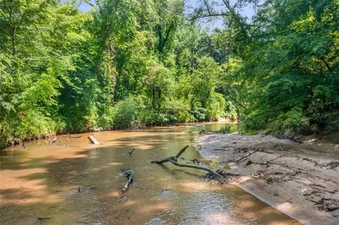 a view of a yard with plants and large trees