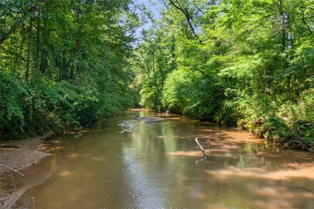 a view of a lush green forest