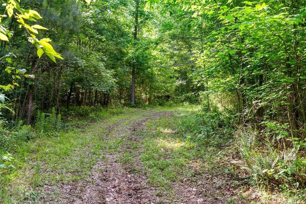3143 Demooney Road College Park, GA 30349 - Photo 19 of 35 a view of a lush green forest