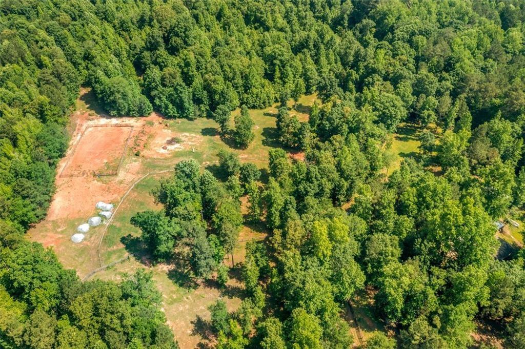 3143 Demooney Road College Park, GA 30349 - Photo 29 of 35 a backyard of a house with a yard and large trees