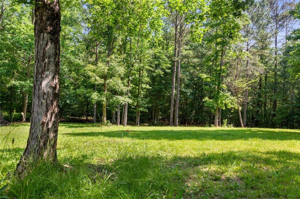 3143 Demooney Road College Park, GA 30349 - Photo 9 of 35 a view of a park with a tree in a yard