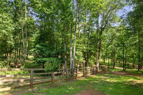 a view of a park with large trees