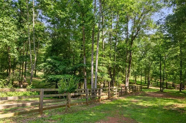 a view of a park with large trees