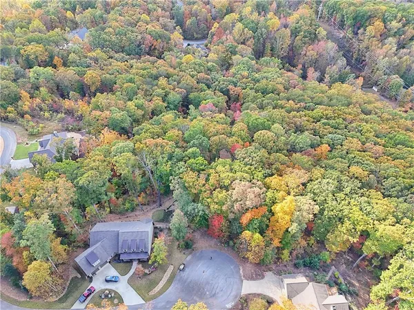 a view of a garden with plants