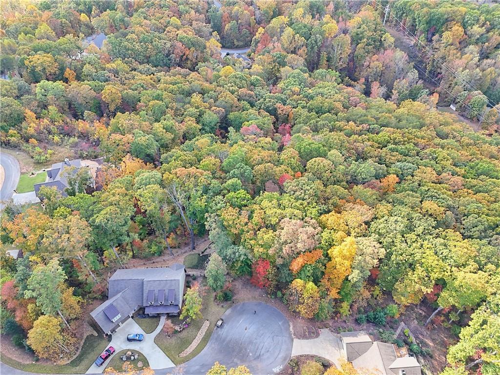 Lot 28 Long Mountain Road Cleveland, GA 30528 - Photo 12 of 22 a view of a garden with plants