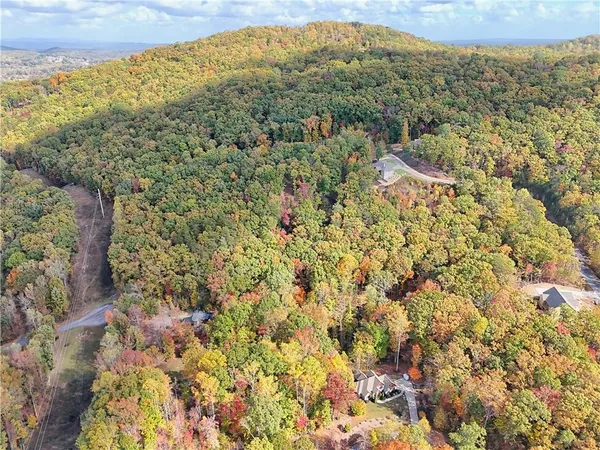 a view of a forest with an outdoor space