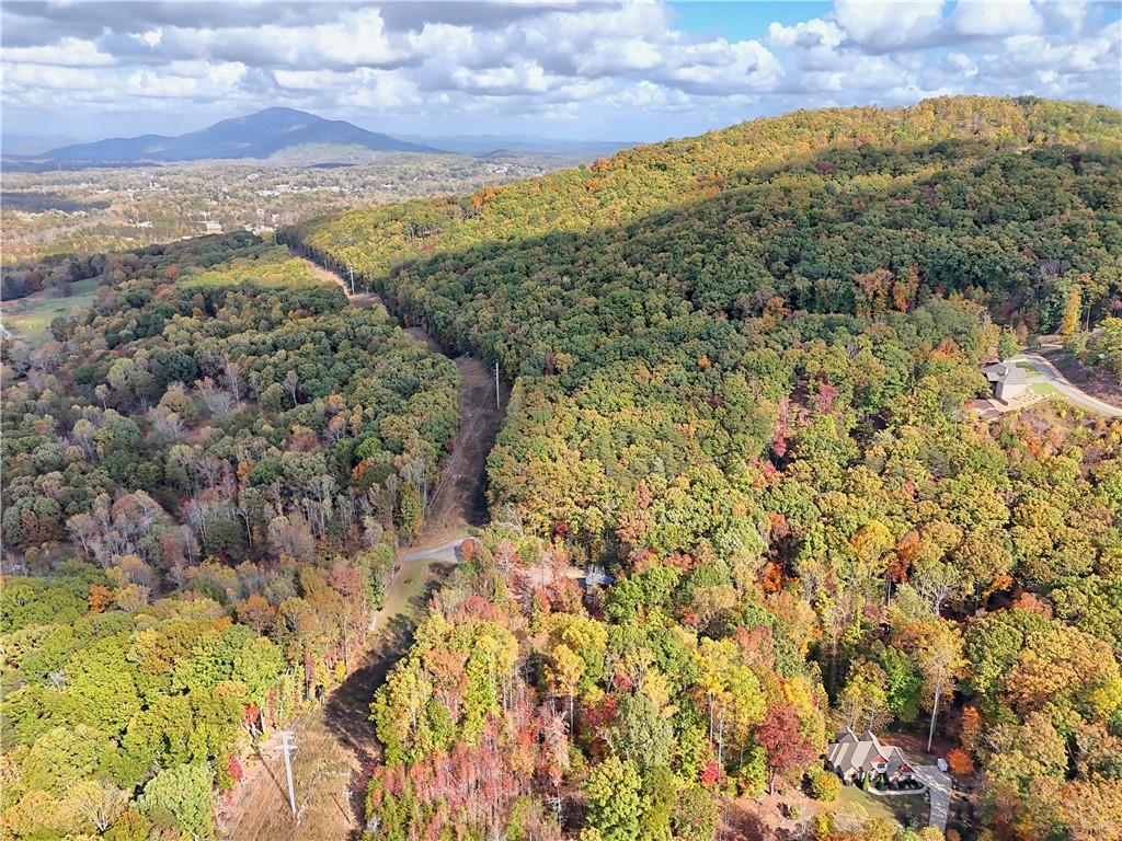 Lot 28 Long Mountain Road Cleveland, GA 30528 - Photo 14 of 22 a view of a yard with an ocean