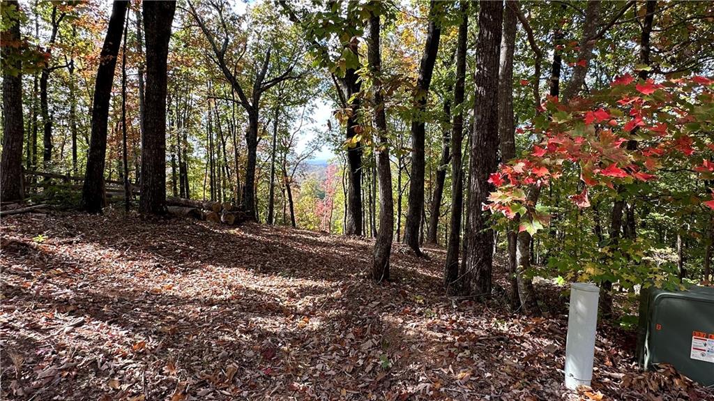 Lot 28 Long Mountain Road Cleveland, GA 30528 - Photo 15 of 22 a backyard of a house with lots of green space