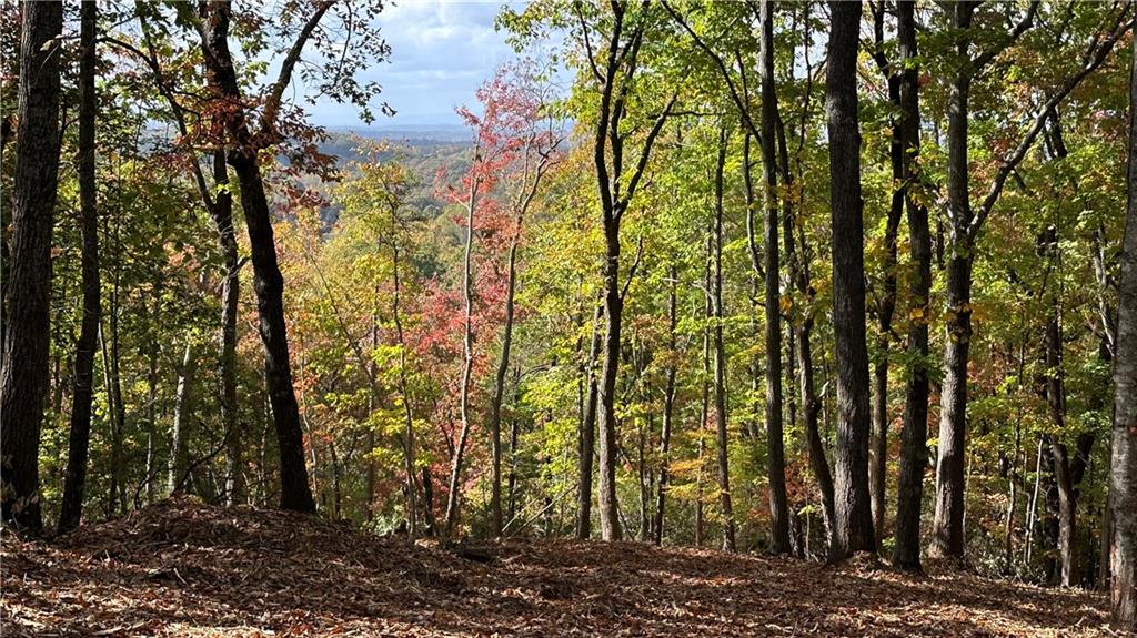 Lot 28 Long Mountain Road Cleveland, GA 30528 - Photo 17 of 22 a view of a yard with large trees